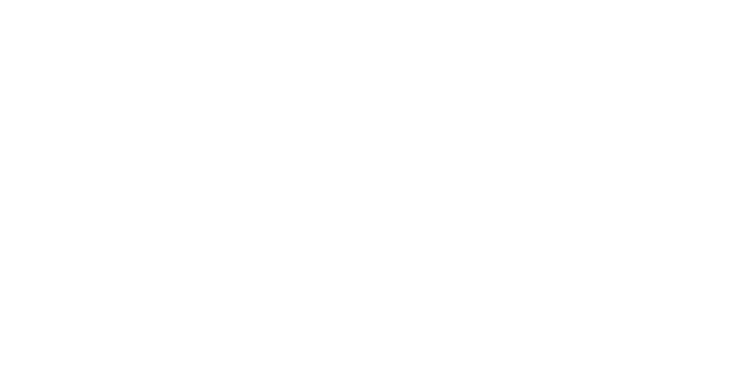 logo2